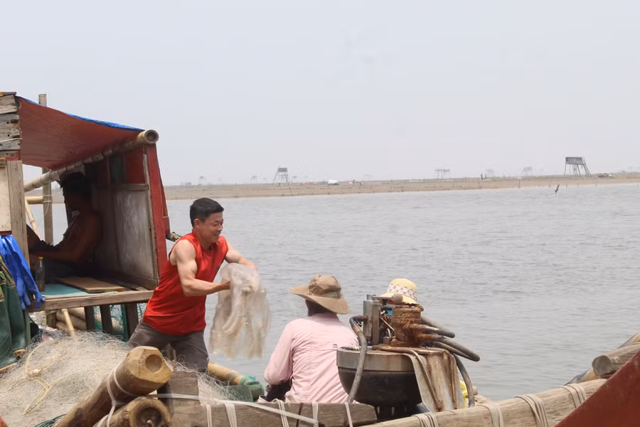 Ông Lê Phạm Thảo - Phó Chủ tịch UBND xã Hoằng Trường cho biết: Nghề đánh bắt sứa mang lại hiệu quả cao, góp phần thúc đẩy kinh tế của địa phương. Đặc biệt, việc khai thác, đánh bắt sứa không chỉ tăng thu nhập cho ngư dân mà còn tạo công ăn, việc làm thời vụ cho nhiều lao động tại địa phương. Ảnh: LT.