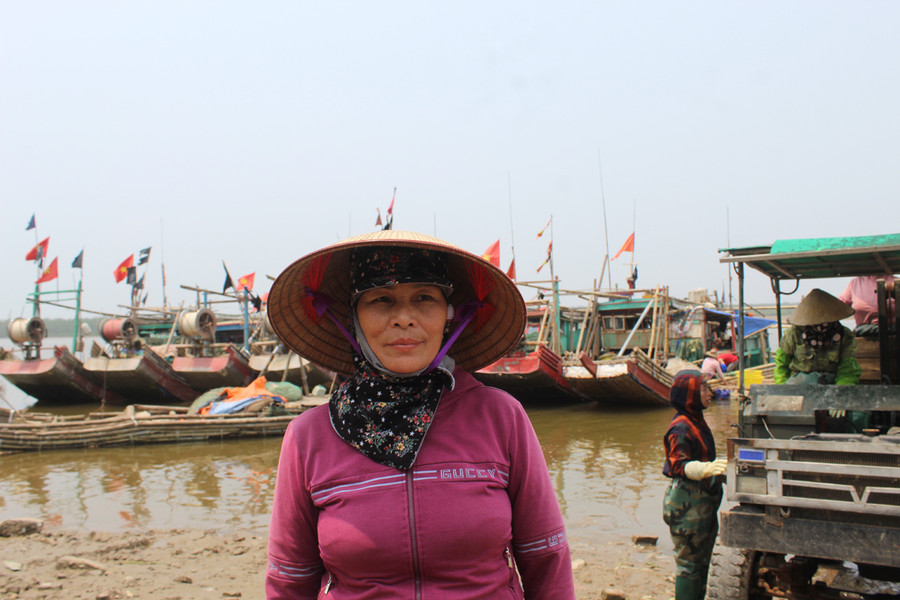 Bà Nguyễn Thị Dụng, chủ đại lý thu mua sứa tươi tại Hoằng Trường hồ hởi: "Những ngày trước đó, đại lý của tôi thu mua lên tới hơn 1.000 sứa tươi mỗi ngày, có ngày cao điểm lên vài nghìn con. Với số lượng lớn như vậy, chúng tôi phải thuê từ 10-15 lao động để bốc sứa”. Theo bà Dụng, vào mùa sứa biển, ngư dân đánh bắt sứa rất hiệu quả. Ảnh: LT. Bà Nguyễn Thị Dụng, chủ đại lý thu mua sứa tươi tại Hoằng Trường hồ hởi: "Những ngày trước đó, đại lý của tôi thu mua lên tới hơn 1.000 sứa tươi mỗi ngày, có ngày cao điểm lên vài nghìn con. Với số lượng lớn như vậy, chúng tôi phải thuê từ 10-15 lao động để bốc sứa”. Theo bà Dụng, vào mùa sứa biển, ngư dân đánh bắt sứa rất hiệu quả. Ảnh: LT.