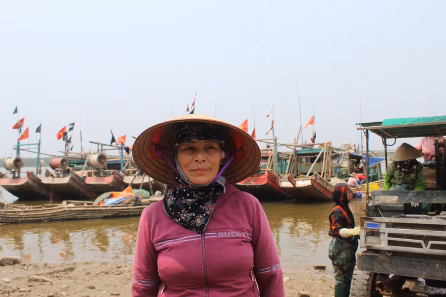 Bà Nguyễn Thị Dụng, chủ đại lý thu mua sứa tươi tại Hoằng Trường hồ hởi: "Những ngày trước đó, đại lý của tôi thu mua lên tới hơn 1.000 sứa tươi mỗi ngày, có ngày cao điểm lên vài nghìn con. Với số lượng lớn như vậy, chúng tôi phải thuê từ 10-15 lao động để bốc sứa”. Theo bà Dụng, vào mùa sứa biển, ngư dân đánh bắt sứa rất hiệu quả. Ảnh: LT.