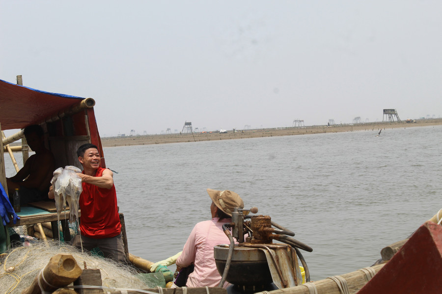 Thông thường cứ sau Tết Nguyên đán, ngư dân làng biển Hoằng Trường (Hoằng Hóa, Thanh Hóa) lại tấp nập căng buồm ra khơi đánh bắt sứa. Mùa khai thác sứa biển thường kéo dài từ 3 - 4 tháng trong năm. Ảnh: LT. Thông thường cứ sau Tết Nguyên đán, ngư dân làng biển Hoằng Trường (Hoằng Hóa, Thanh Hóa) lại tấp nập căng buồm ra khơi đánh bắt sứa. Mùa khai thác sứa biển thường kéo dài từ 3 - 4 tháng trong năm. Ảnh: LT.