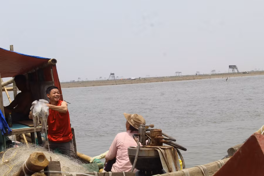 Thông thường cứ sau Tết Nguyên đán, ngư dân làng biển Hoằng Trường (Hoằng Hóa, Thanh Hóa) lại tấp nập căng buồm ra khơi đánh bắt sứa. Mùa khai thác sứa biển thường kéo dài từ 3 - 4 tháng trong năm. Ảnh: LT.