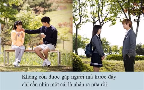 Nhìn lại 12 năm đèn sách, điều tiếc nuối nhất của bạn là gì? ảnh 8