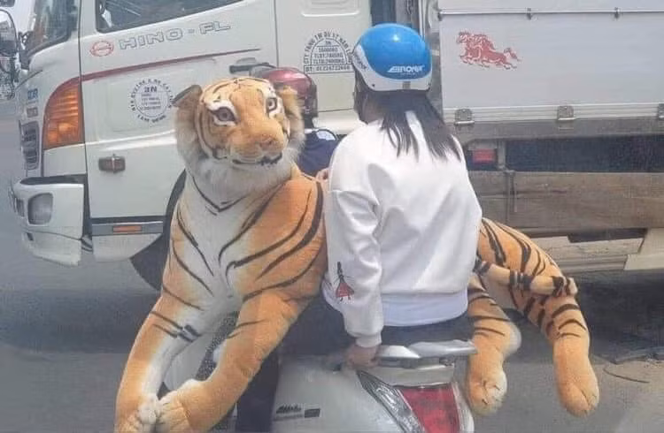 Ra đường, nhìn cảnh này rụng tim luôn.