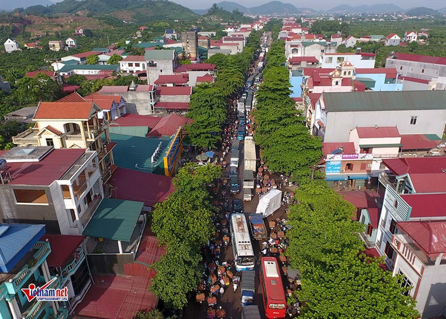 Xe tải tấp nập chở vải thiều đi 