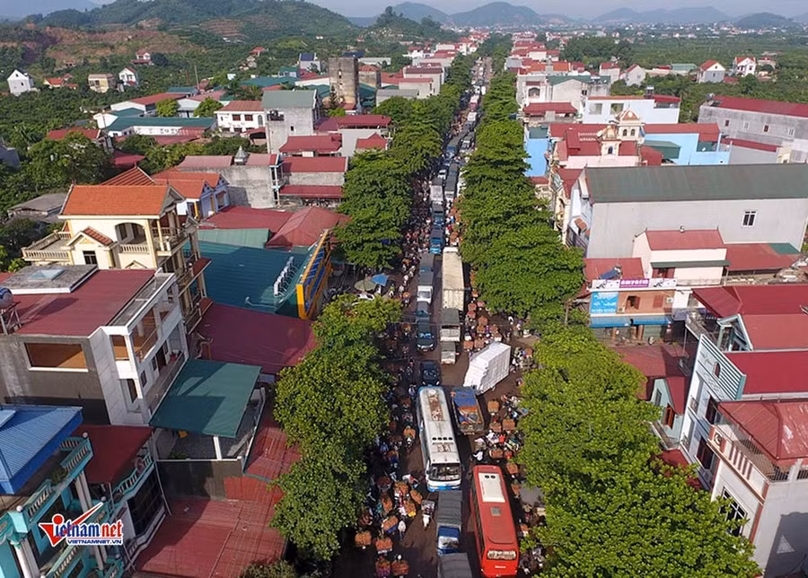 Xe tải tấp nập chở vải thiều đi 