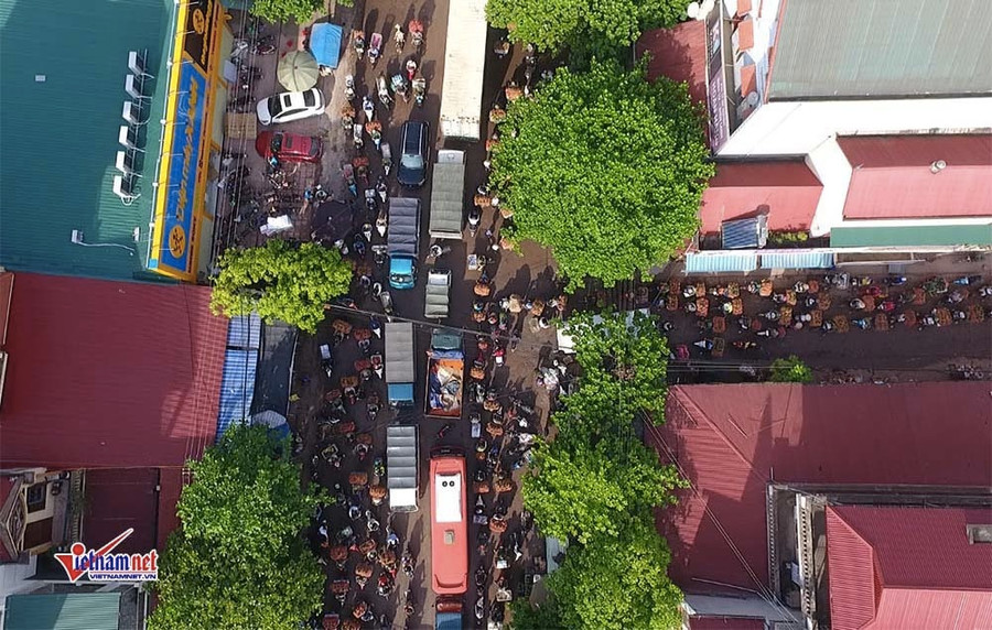 Xe tải tấp nập chở vải thiều đi 