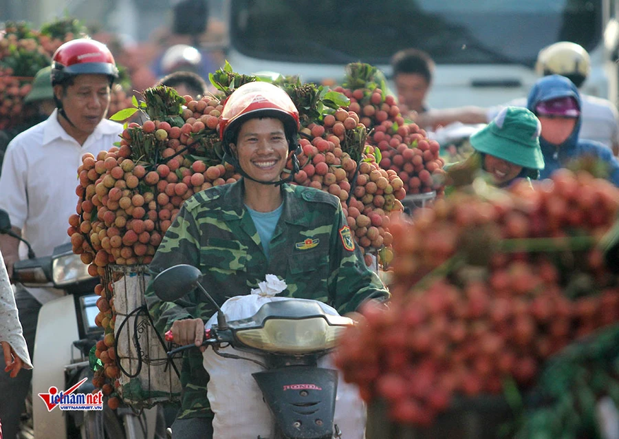 Xe tải tấp nập chở vải thiều đi "xuất khẩu" và nụ cười quên nắng nóng