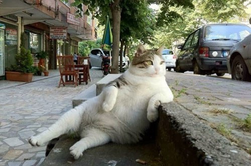 Chết mất thôi với những con người vui tính nhất quả đất ảnh 7 Chết mất thôi với những con người vui tính nhất quả đất ảnh 7