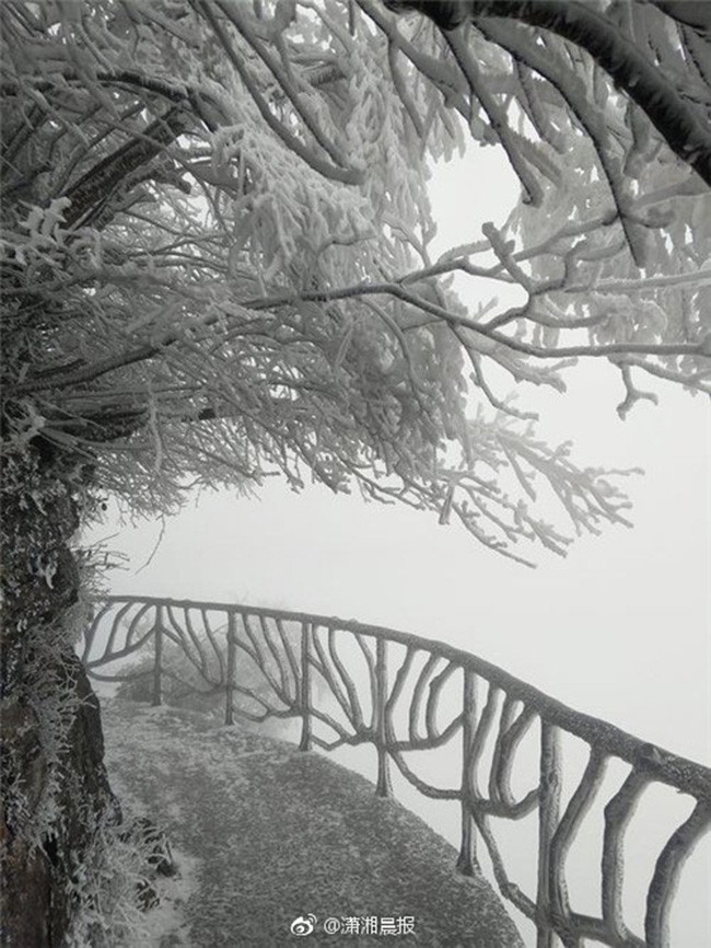 du khach phan khich truoc canh tuong bang tuyet phu trang truong gia gioi hinh anh 16