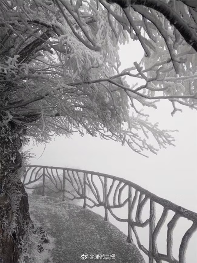 du khach phan khich truoc canh tuong bang tuyet phu trang truong gia gioi hinh anh 16