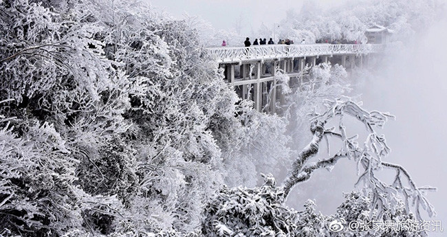 du khach phan khich truoc canh tuong bang tuyet phu trang truong gia gioi hinh anh 14