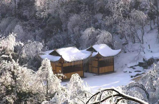 du khach phan khich truoc canh tuong bang tuyet phu trang truong gia gioi hinh anh 3