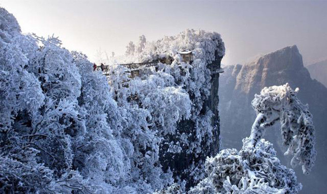 du khach phan khich truoc canh tuong bang tuyet phu trang truong gia gioi hinh anh 2