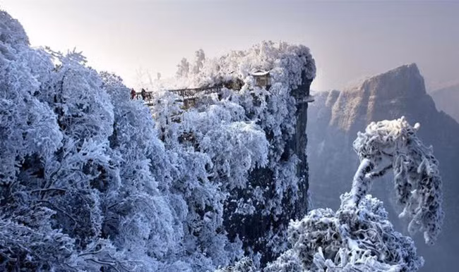 du khach phan khich truoc canh tuong bang tuyet phu trang truong gia gioi hinh anh 2