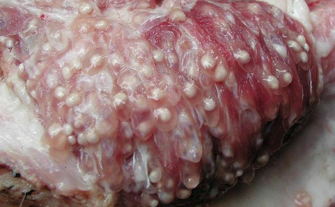 Ảnh minh họa Ảnh minh họa