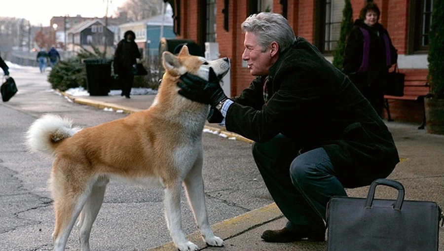 Tôi là Hachiko