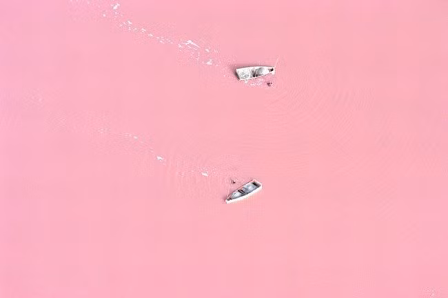 canh tuong phi thuong cua tu nhien khien ban son gai oc hinh anh 15