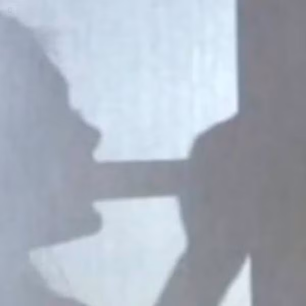 30 bức ảnh không dành cho những người có 