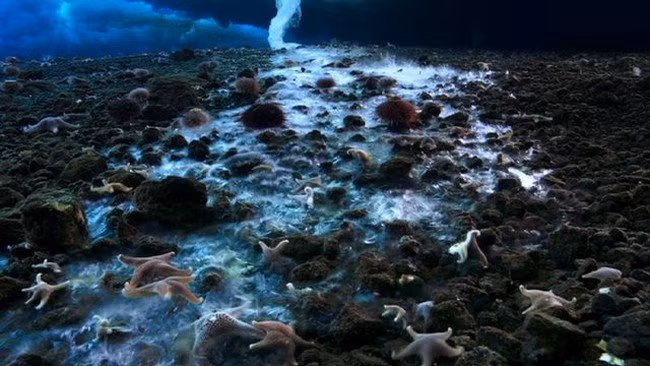 canh tuong phi thuong cua tu nhien khien ban son gai oc hinh anh 8