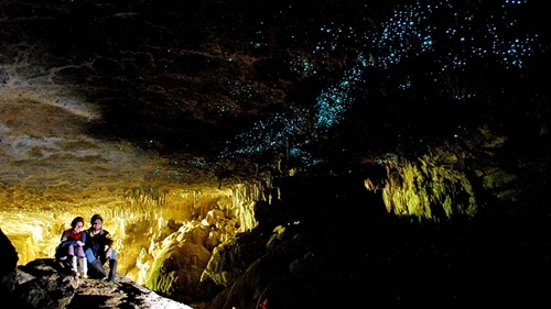 Hang động phát sáng giống đom đóm ở New Zealand.