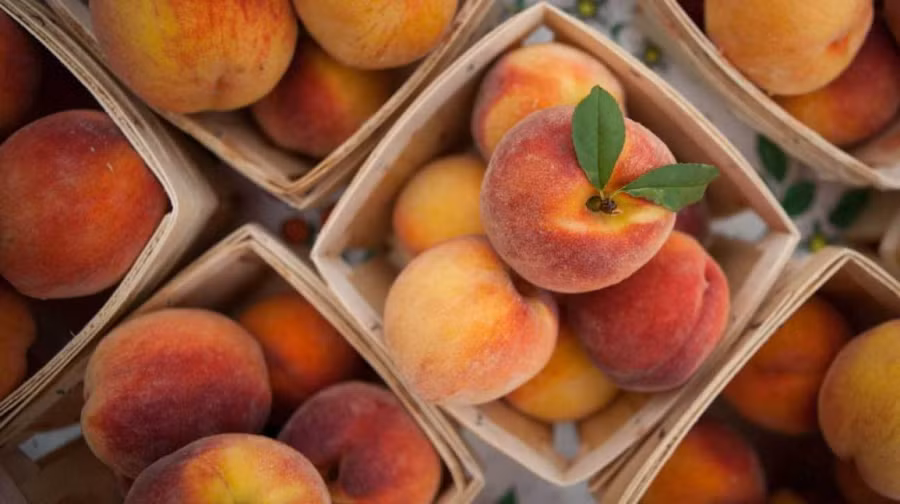 peach-fruit-benefits-1296x728-feature
