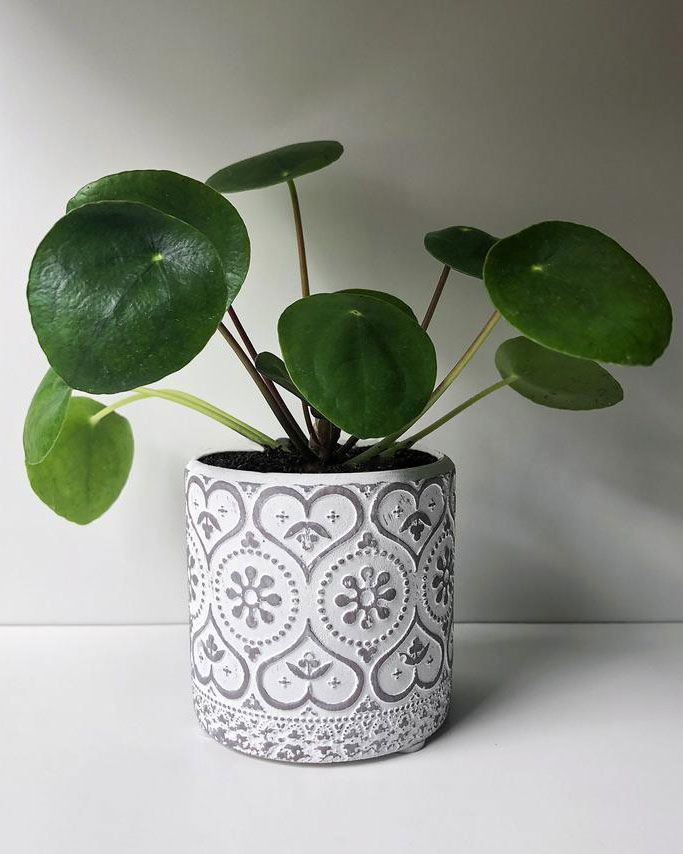 7 mẹo phong thuỷ phát huy tối đa năng suất làm việc tại nhà