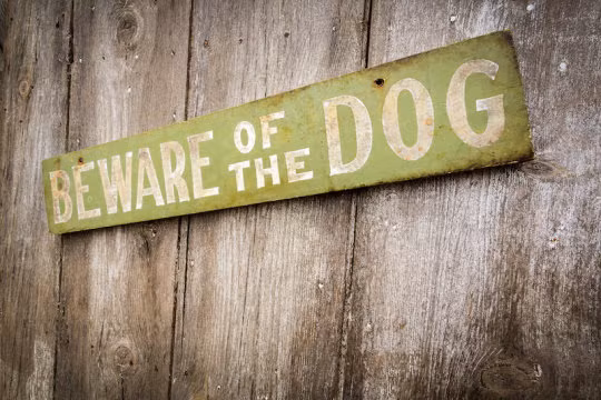 Cuộc sống muôn màu