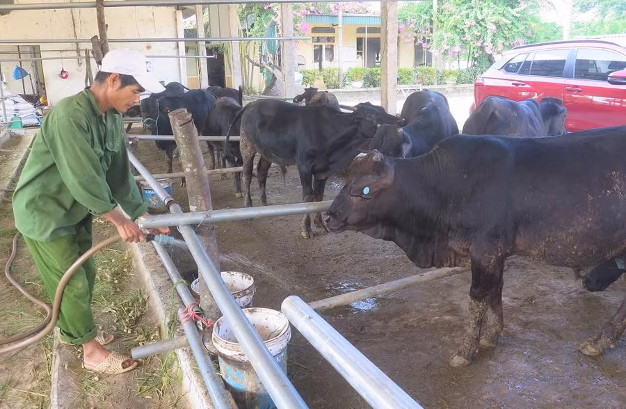 Mỗi hộ dân được hỗ trợ 220.000 đồng cho một ngày công chăm sóc.