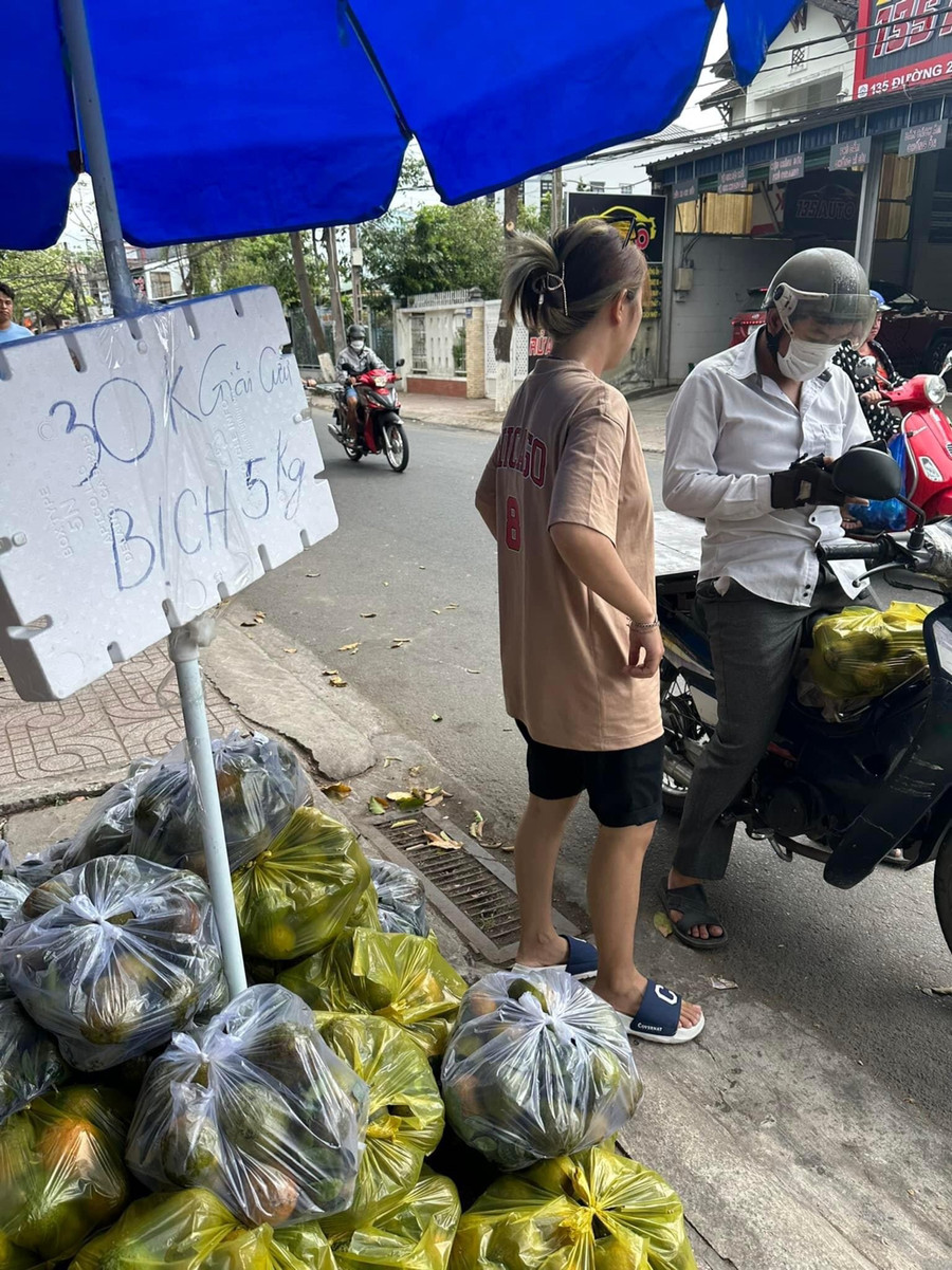 Chung tay hỗ trợ người nông dân trồng cam. Chung tay hỗ trợ người nông dân trồng cam.