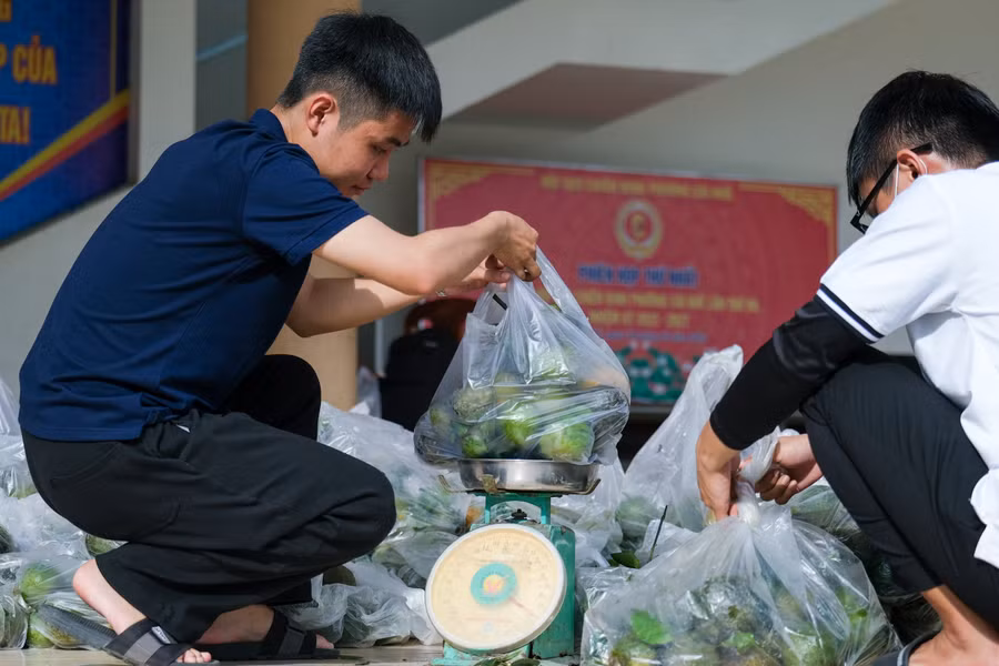 Hiện đã có hơn 3 tấn cam đã được đưa về Cần Thơ. Các đoàn viên thanh niên phân loại và cân. 1 bọc 5 kg, giá chỉ bằng 1 tô hủ tiếu, người dân Cần Thơ đã chia sẻ phần nào khó khăn của bà con Vĩnh Long.