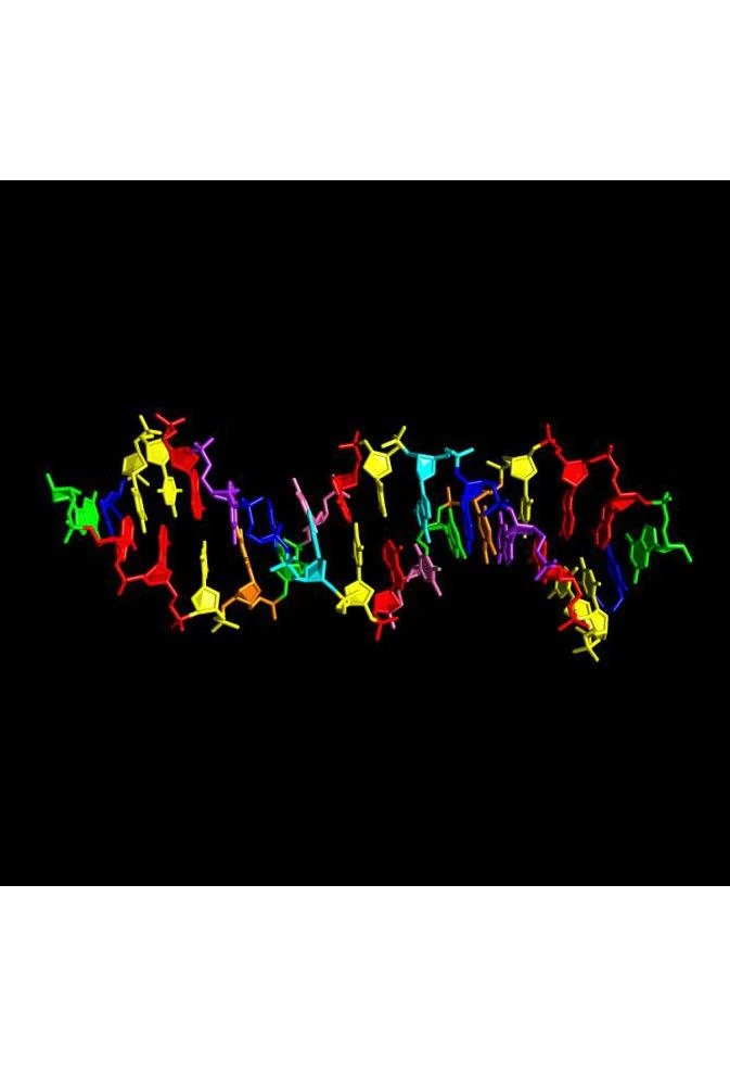 Các nhà nghiên cứu đã phát triển một loại DNA mới trong phòng thí nghiệm được tạo thành từ tám chữ cái.