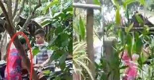 Bị mẹ vợ bắt quả tang ngoại tình, con rể làm chuyện mất nhân tính