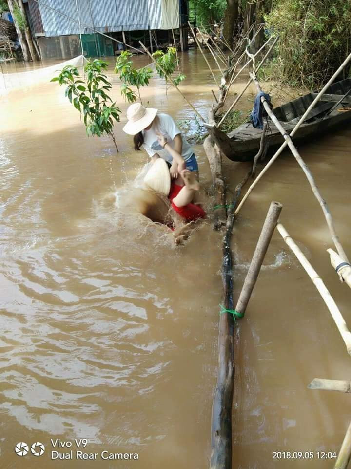 Cầu tre lắt lẻo gập ghềnh khó đi Cầu tre lắt lẻo gập ghềnh khó đi