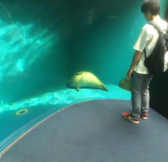 Không bơi nữa, em mệt rồi! Không bơi nữa, em mệt rồi!