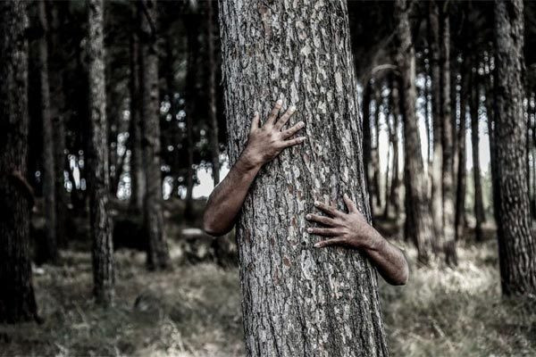 Nghi phạm sa lưới vì 