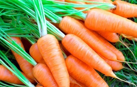 Top 5 loại rau củ cung cấp collagen cho làn da trắng mịn tự nhiên ảnh 5 Top 5 loại rau củ cung cấp collagen cho làn da trắng mịn tự nhiên ảnh 5