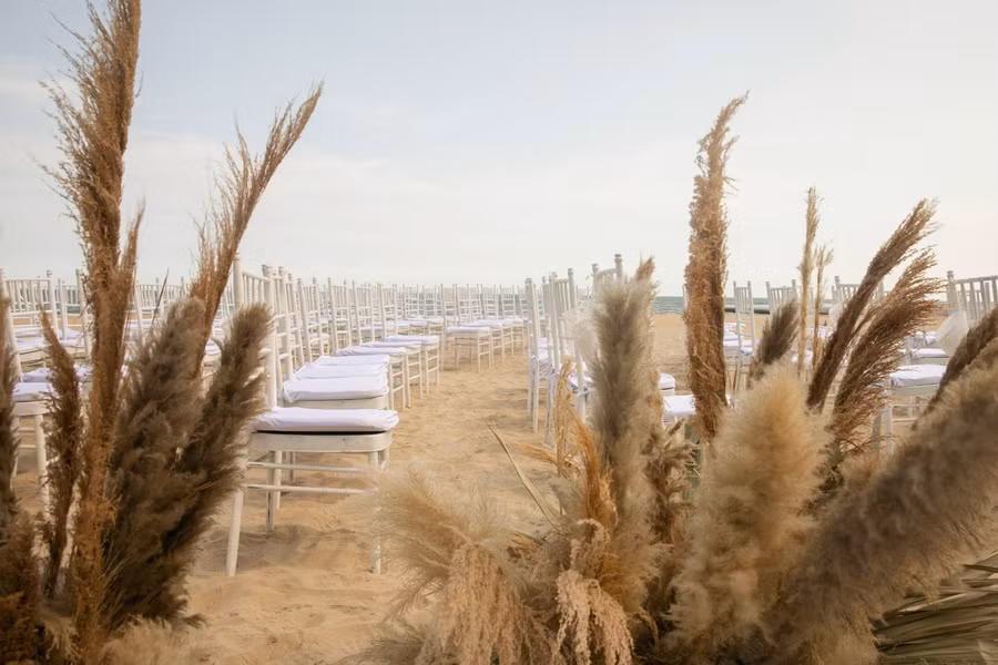 Trấn Thành và dàn sao Việt rạng rỡ dự đám cưới đẹp như mơ của Minh Hằng ảnh 5