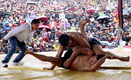 Hội vật đền Vật Cát Quế, Hoài Đức, Hà Nội luôn thu hút sự quan tâm của đông đảo công chúng. Hội vật đền Vật Cát Quế, Hoài Đức, Hà Nội luôn thu hút sự quan tâm của đông đảo công chúng.