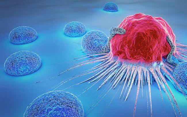 photo1535247601603-1535247601603867531327