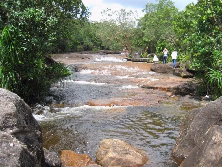 Không ngờ giữa bốn bề nước biển, Phú Quốc lại có loài cá trê độc, lạ hình ảnh 5 khong ngo giua bon be nuoc bien, phu quoc lai co loai ca tre doc, la hinh anh 5