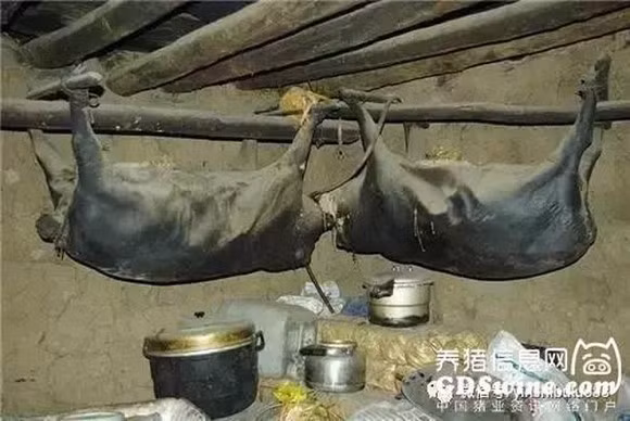 thịt lợn, thịt lợn gác bếp, thịt lợn thối