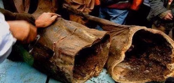 thịt lợn, thịt lợn gác bếp, thịt lợn thối