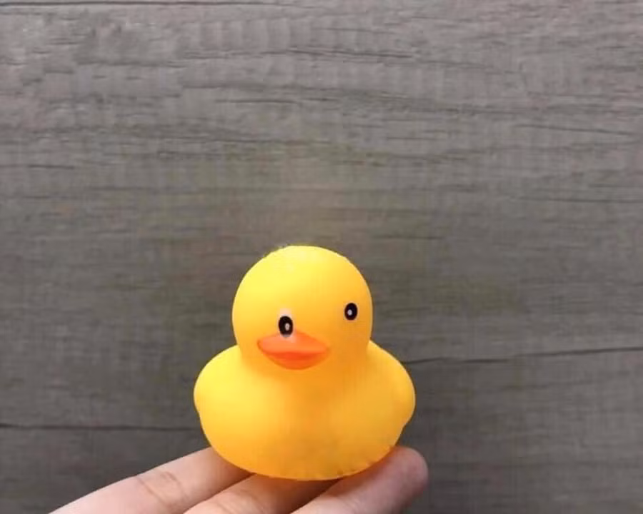 Mới săn được con vịt 1000 đồng trên Shopee mà nhìn nó cứ kiểu khinh khinh mình.