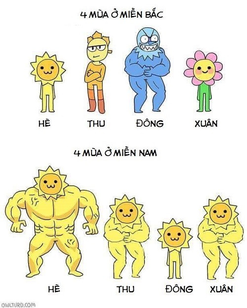 Miền nam cũng có bốn mùa.