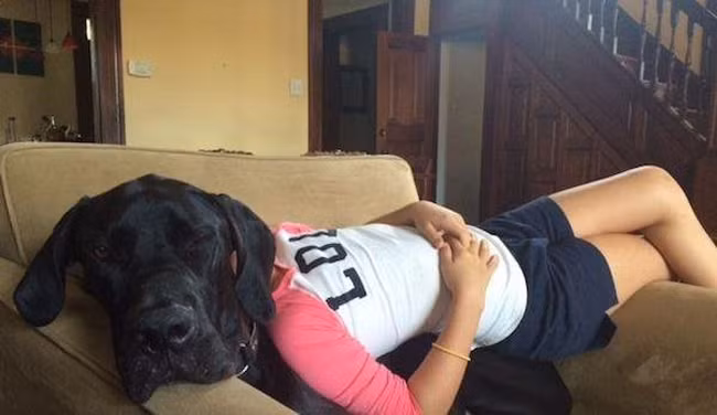 nhung hinh anh de khien chung ta "nhin ga hoa cuoc" hinh anh 4