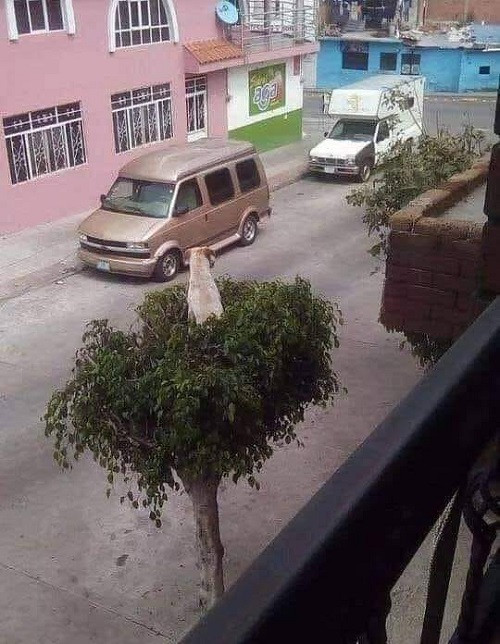 Camera chạy bằng cơm.