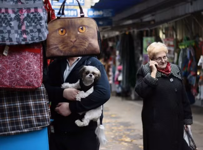 nhung hinh anh de khien chung ta "nhin ga hoa cuoc" hinh anh 11