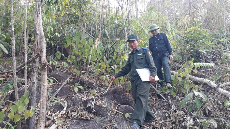 Các doanh nghiệp chậm chi trả tiền dịch vụ môi trường rừng gây ảnh hưởng một phần đến công tác bảo vệ rừng.