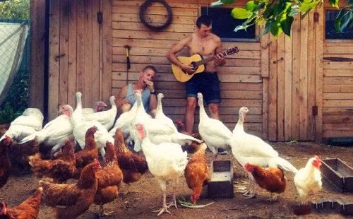 Những nghệ sĩ chất nhất thế giới.