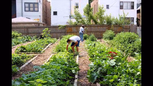 da bi ngua ngay, nguoi dan ong hai hung khi thay thu “kinh di” trong ca phoi va da day - 3